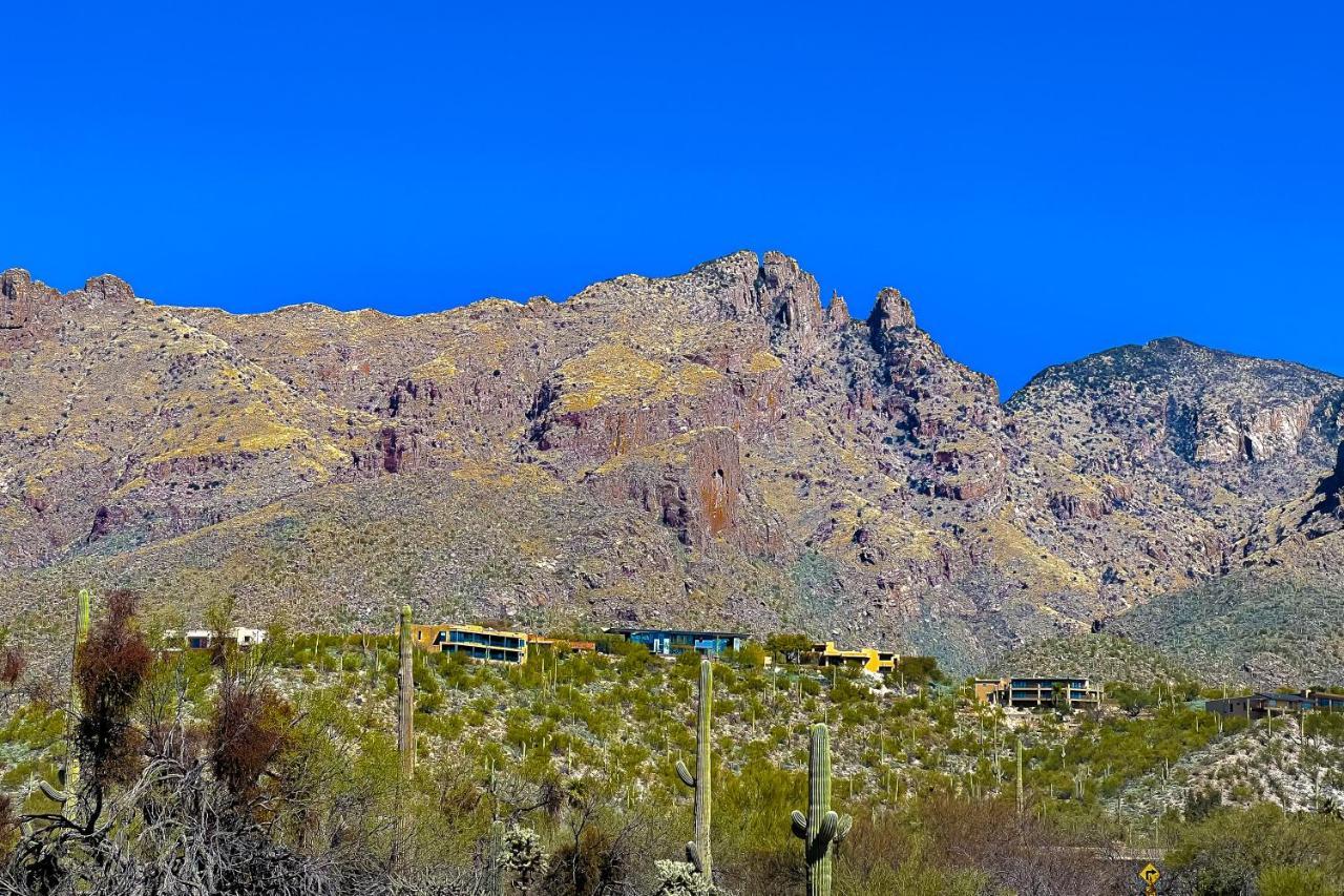 Vila Lizard Rock Tucson Exteriér fotografie